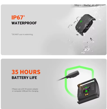 Heart Rate Sensor Armband
